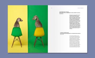 William Wegman's Dogs on Furniture