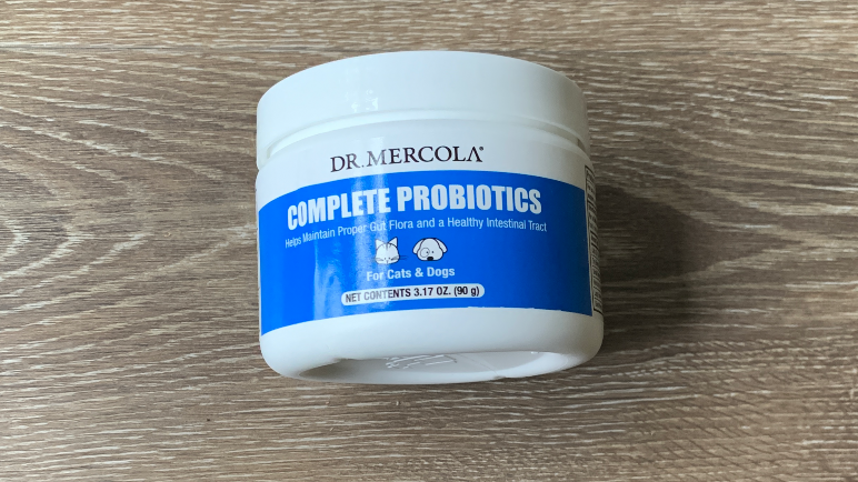 View of I tried some probiotics for cats – here’s what happened | PetsRadar