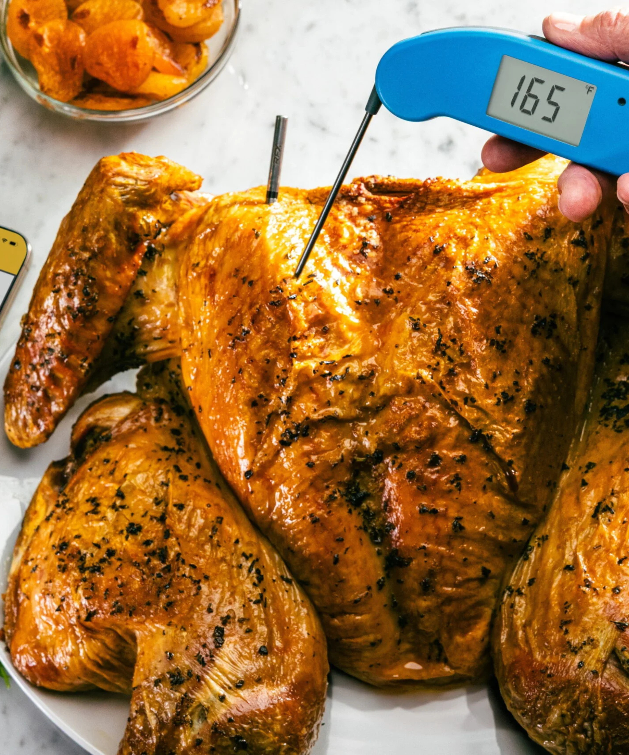 Thermoworks Turkey Thermometer