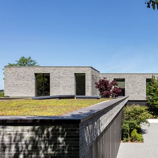 modern flat roof extension with green roof