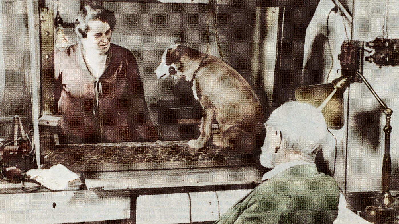 Pavlov's dog: demonstration of classical conditioning, which also works for horses