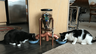 A photo showing two cats eating from bowls attached to an automated feeder
