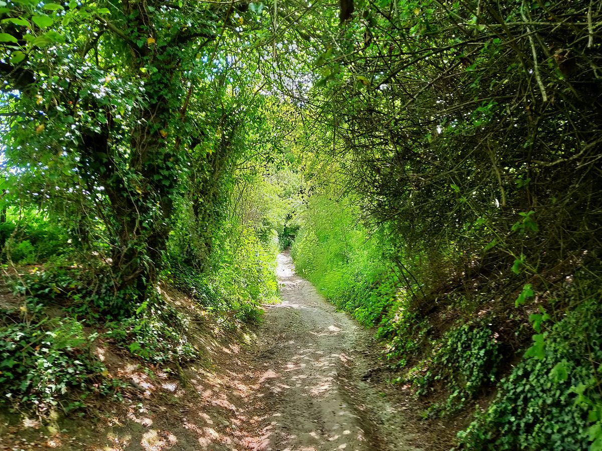 The camera captures plenty of detail. Image credit: TechRadar