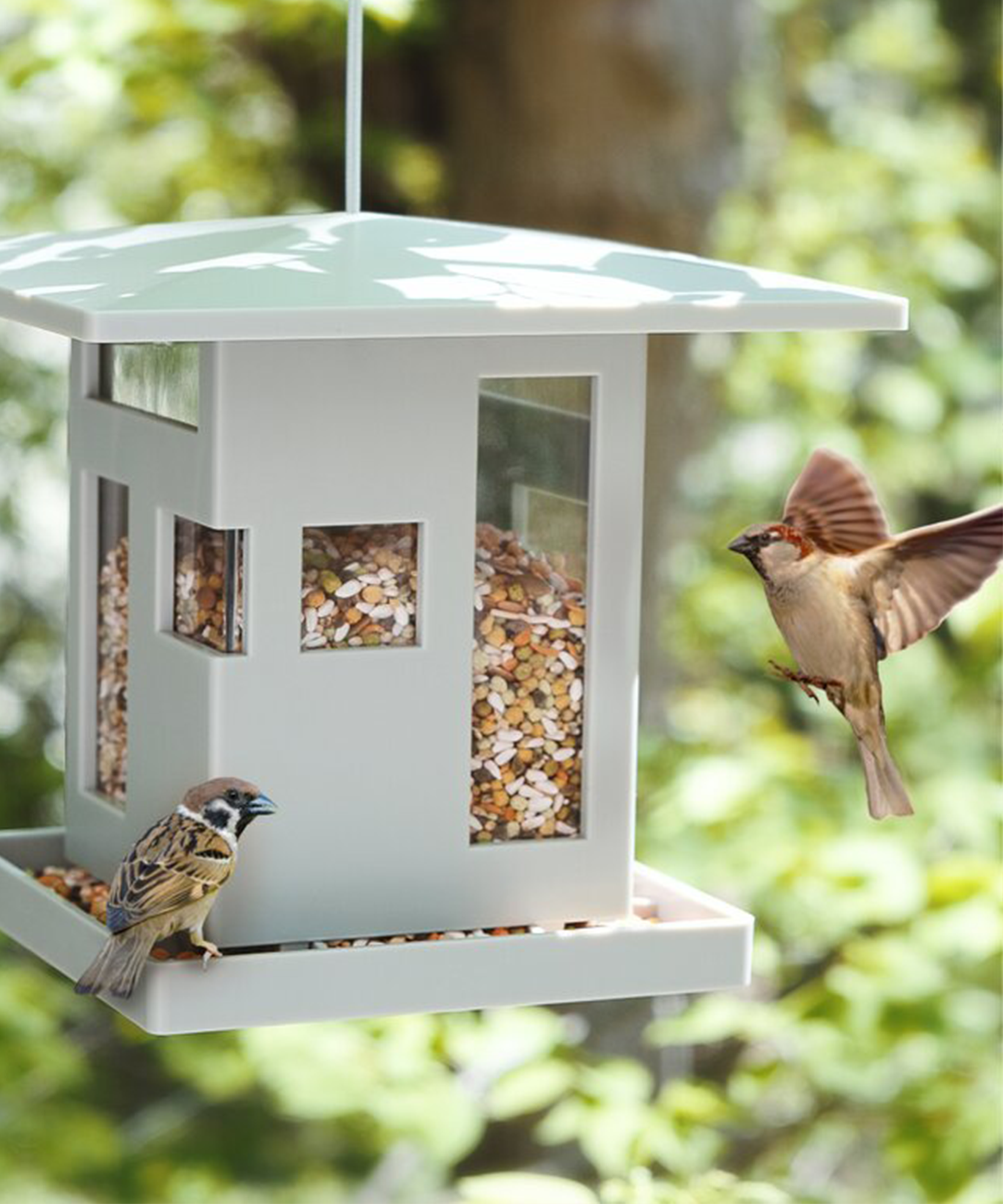 Sebuah kafe burung kayu outdoor dengan dua burung yang berkunjung