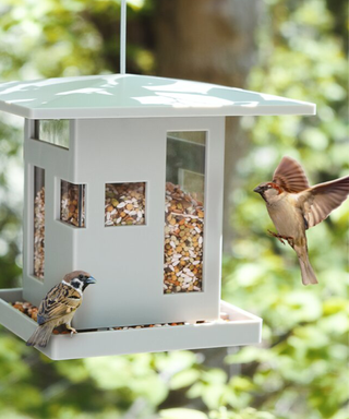 A wooden bird cafe in an outdoor setting with two birds visiting