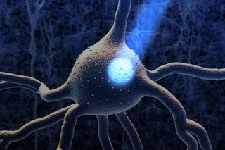 optogenetics, neuroscience