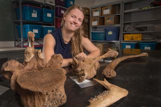 Assistant Professor Jessi Halligan and fossils