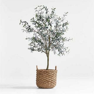 Emlyn Basket & Faux Olive Tree 7' Arrangement