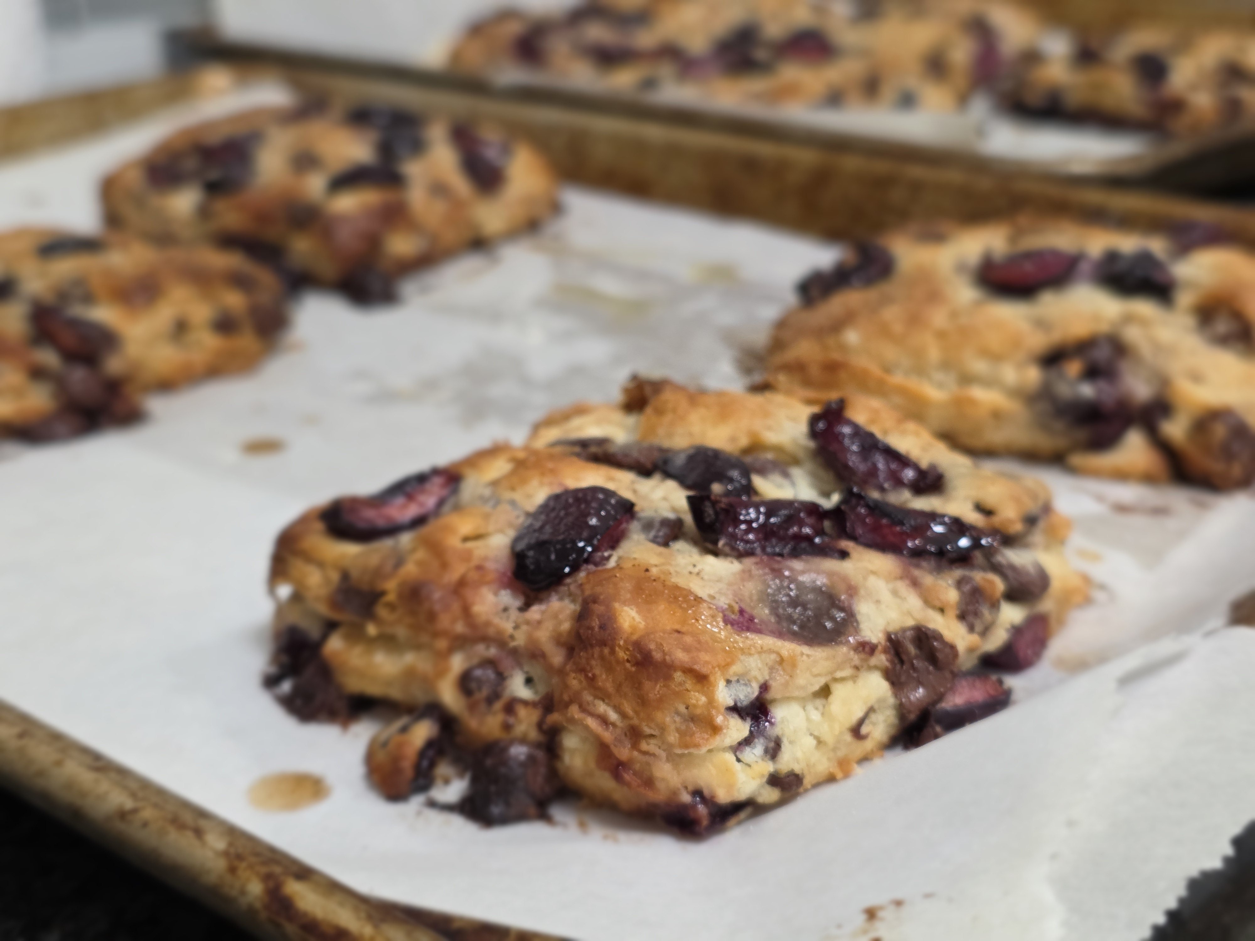 Sample images taken with the Samsung Galaxy S25 Ultra cameras