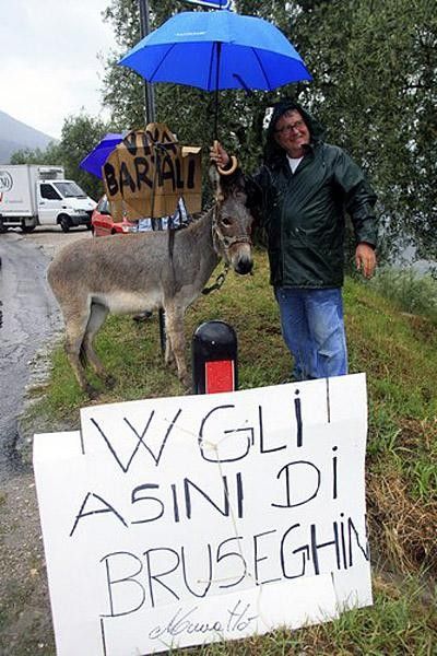 One of Bruseghin's friends? he's a big fan of the donkey