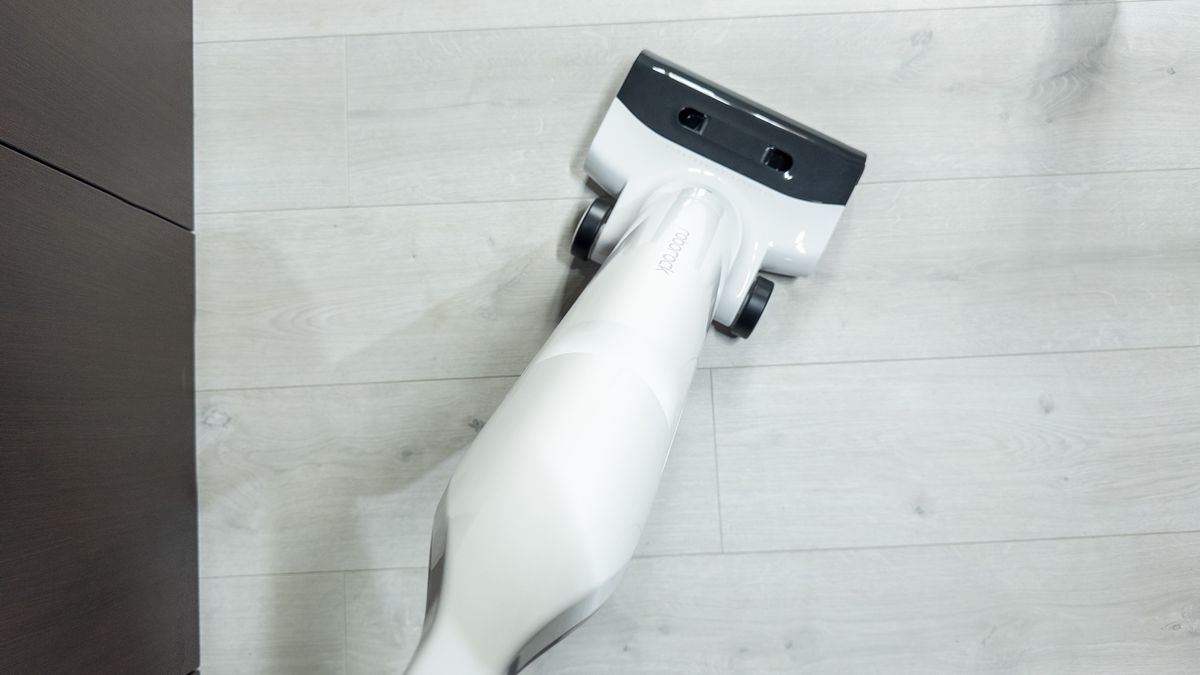 Roborock Flexi Lite