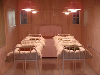 A group of four beds in a nursery, but with seedlings nestled in the mattresses