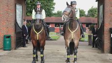 Iceni-under-arch-at-The-Horse-Trust-Thames-Valley-Police.jpg