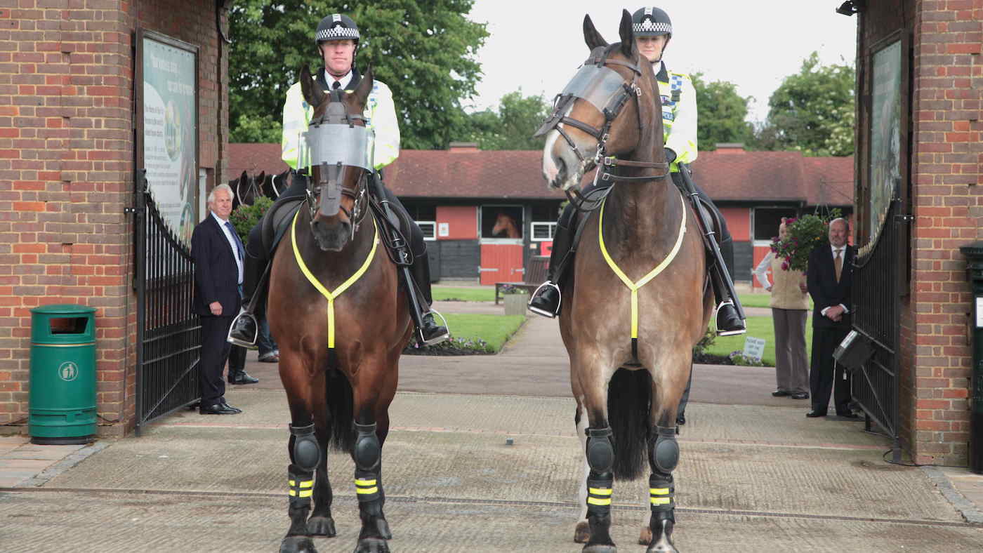 Iceni-under-arch-at-The-Horse-Trust-Thames-Valley-Police.jpg