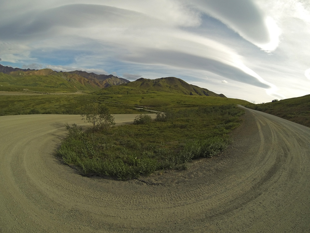 Denali national park road