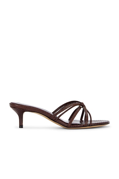 Kitten heel strap 50 sandals