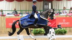 Charlotte Dujardin and Alive And Kicking win the 2022 Elite Stallions young horse PSG final