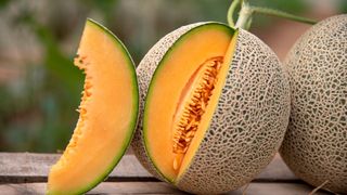 Cantaloupe melon