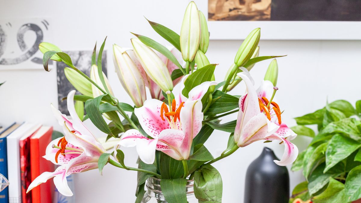 Valentine's Day flower delivery