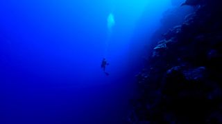 A scuba diver descends down a deep ocean reef wall into the abyss.