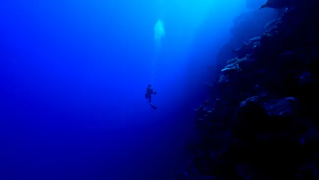 Only 0.001% of deep ocean has ever been explored by humans