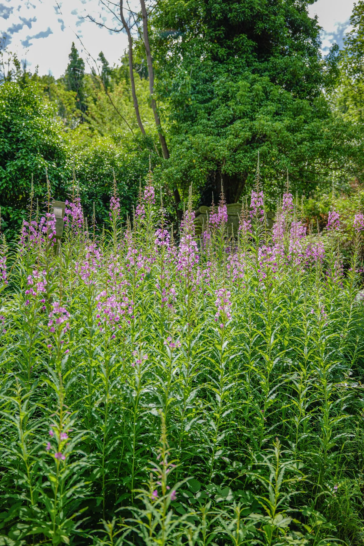 A photo taken on a Leica SL3-P full frame mirrorless camera