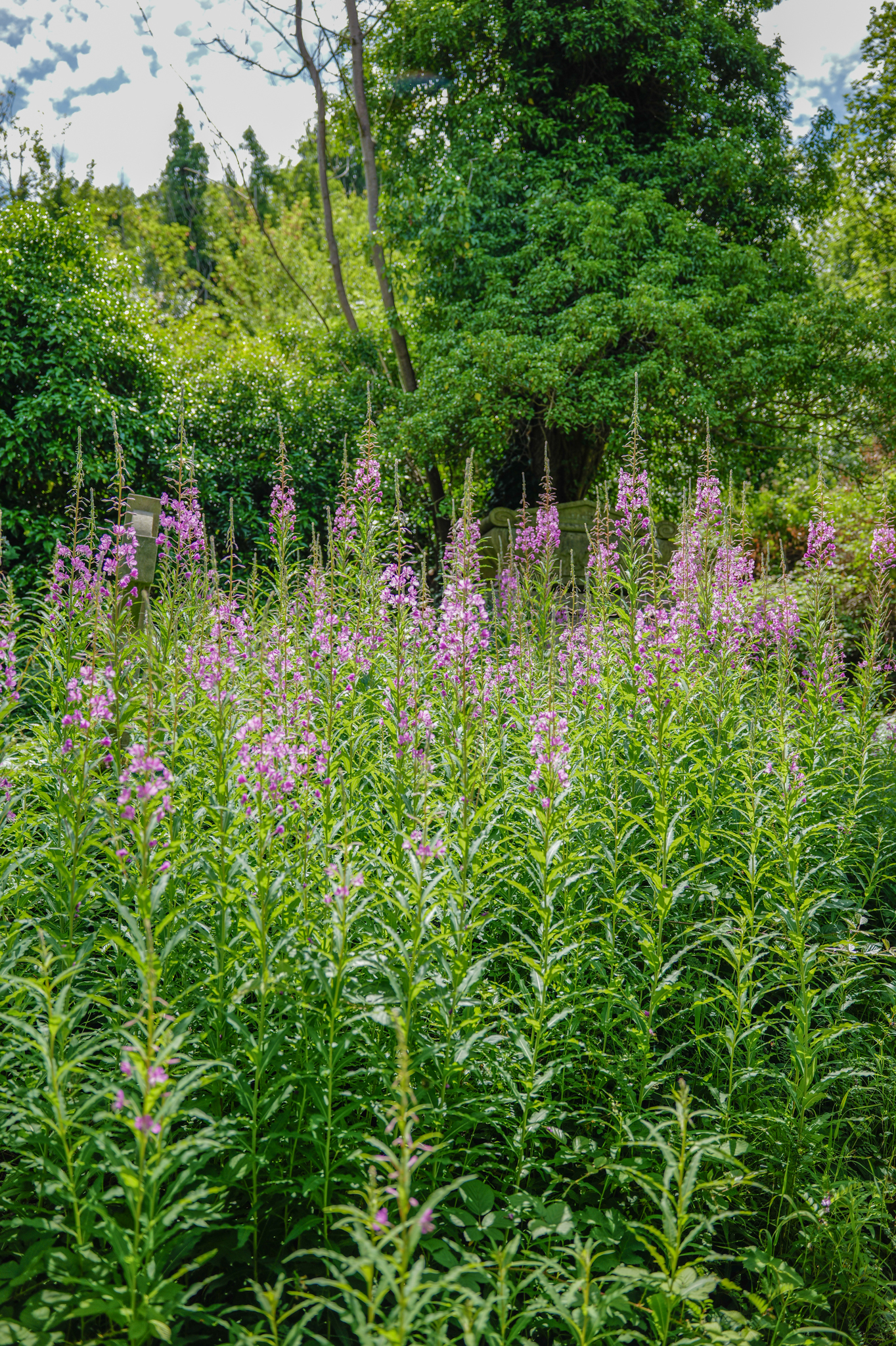 A photo taken on a Leica SL3-P full frame mirrorless camera