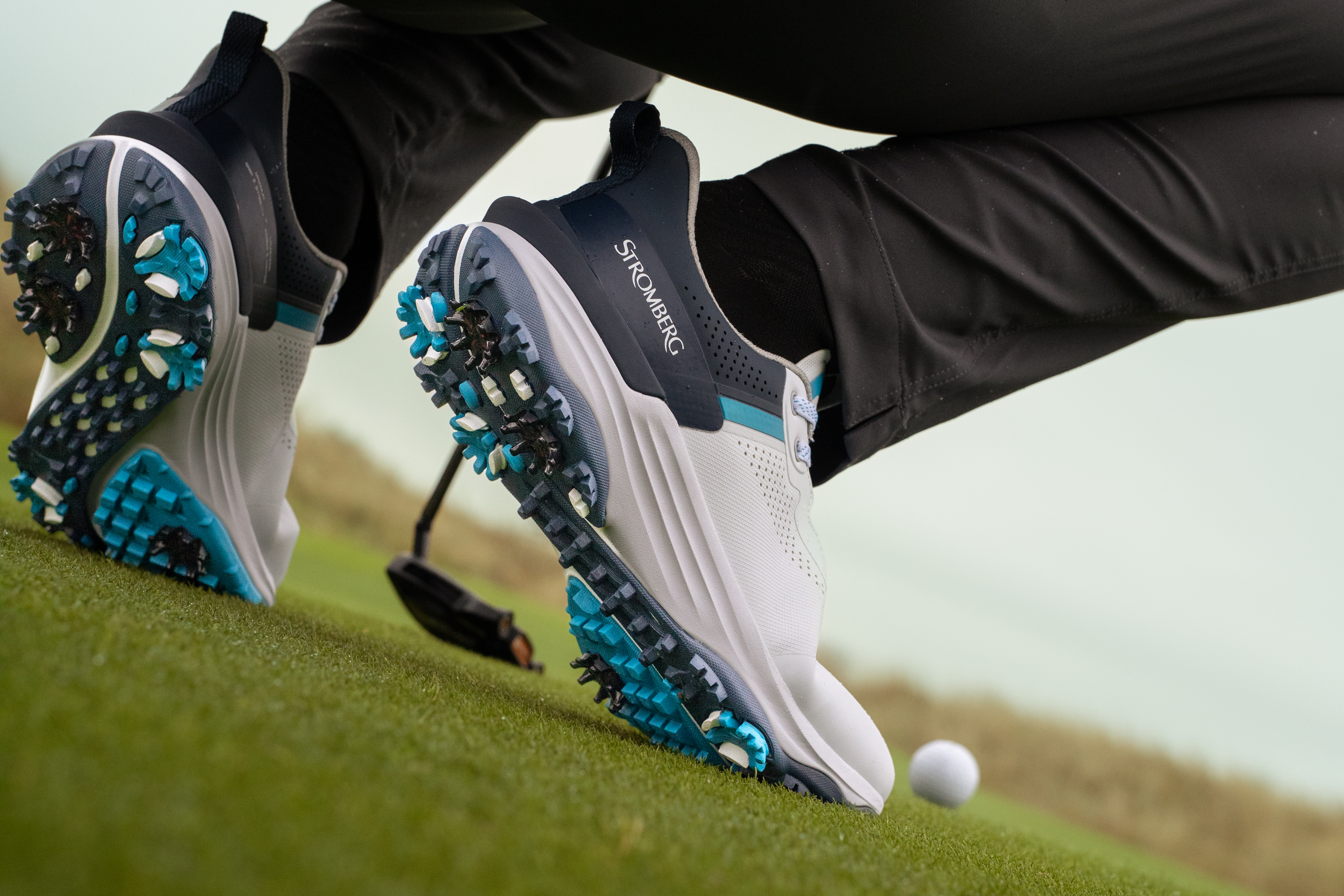 Stromberg Reader Test 2026