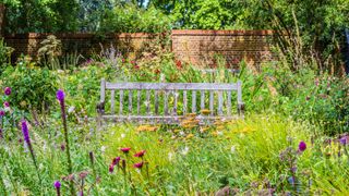 English garden with wooden bench and wildflowers