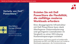 Mit Dell PowerStore erhalten Sie die Flexibilit&auml;t, die vielf&auml;ltige moderne Arbeitslasten erfordern