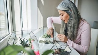 Woman making a plant terrarium