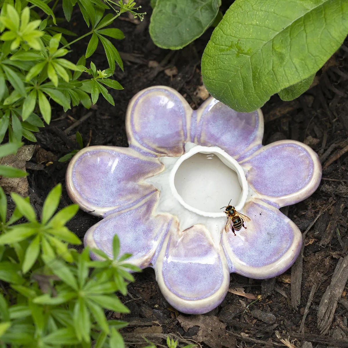 Bee and Butterfly Drinking Flower from Uncommon Goods with bee drinking
