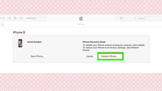 Restoring your device with iTunes