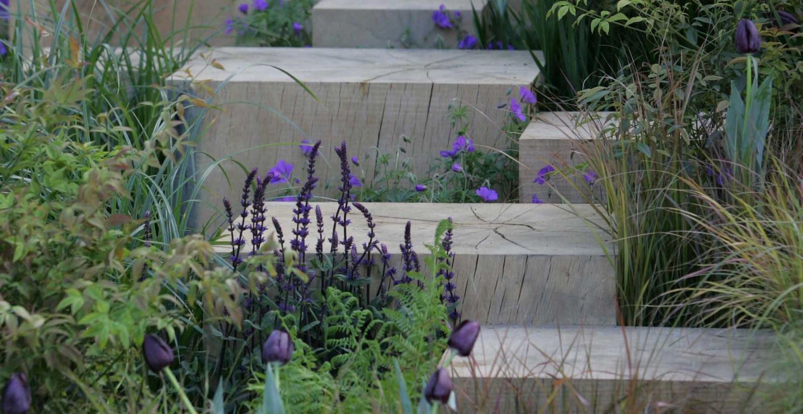 Garden trends 2024 planting ideas to inspire outdoor spaces Woman & Home