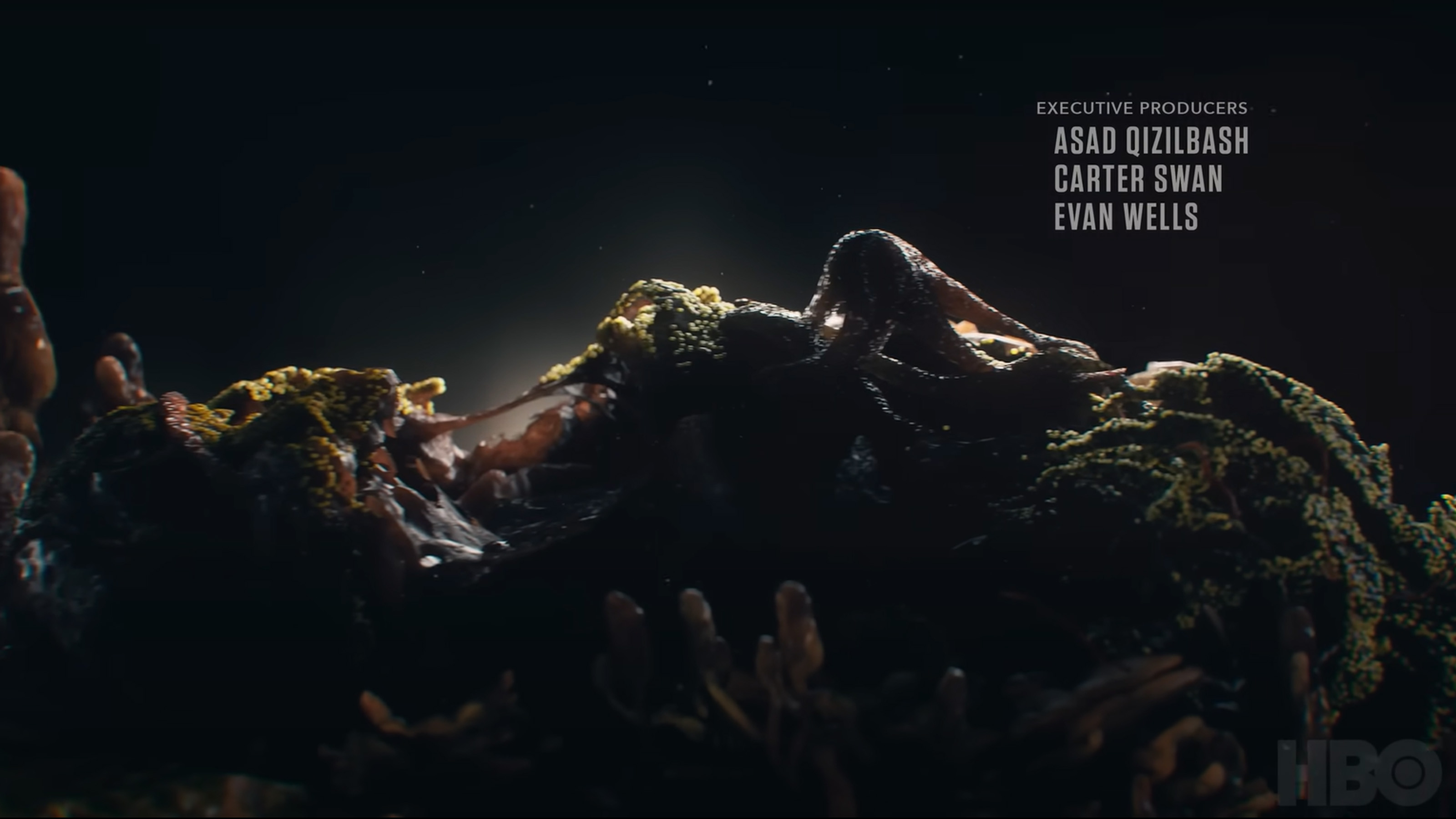 A shot from the intro to the HBO Last of Us show that resembles a face