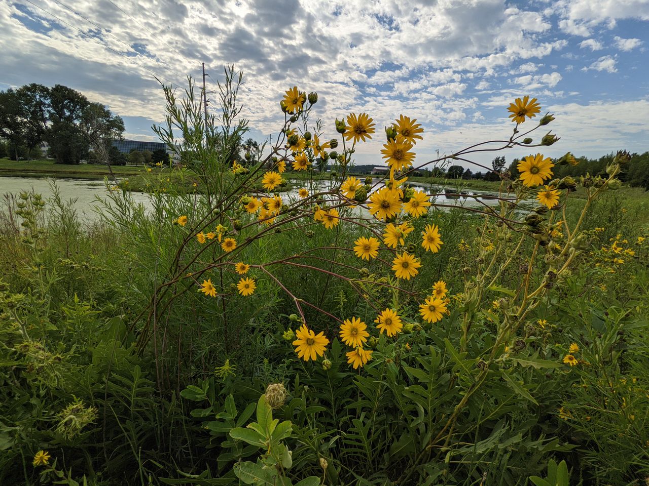 Pixel 5a camera samples
