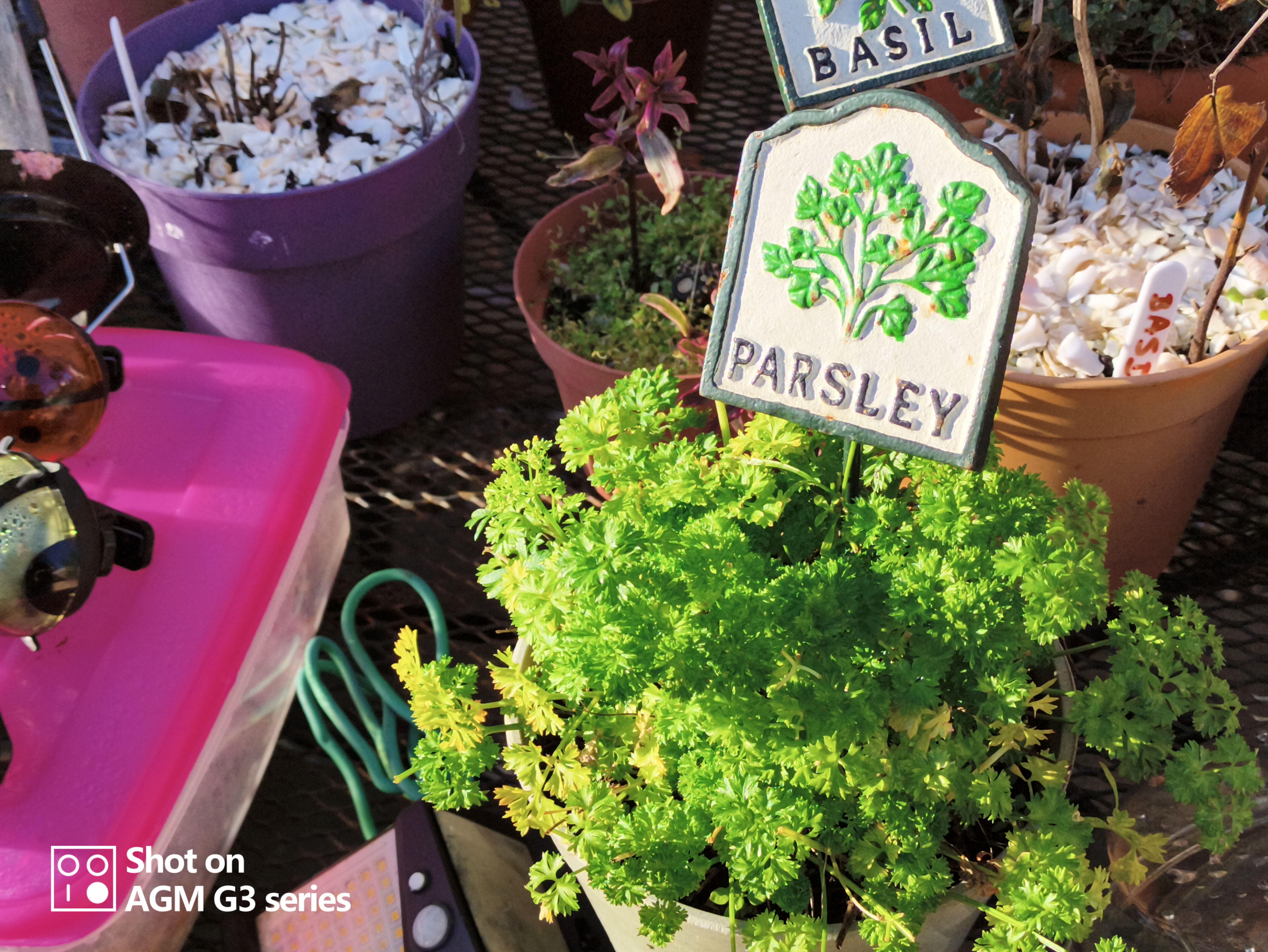 AGM G3 Pro photo and thermal examples