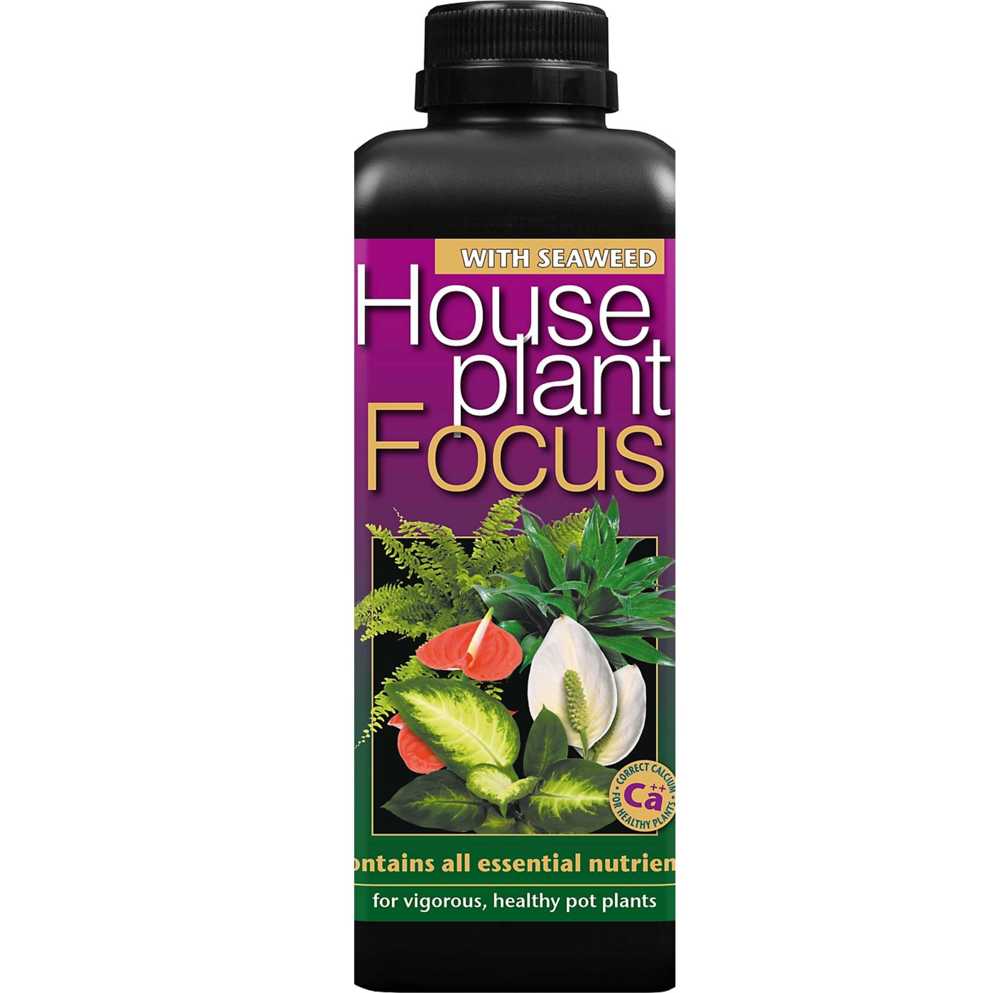 Houseplant Focus feed B&amp;amp;Q