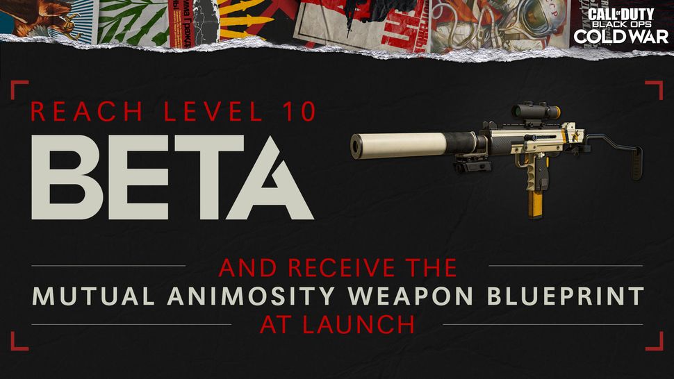 how long is the call of duty cold war beta