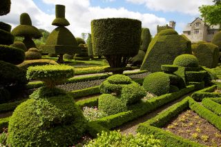 Levens hall and gardens lake district cumbria topiary gardens