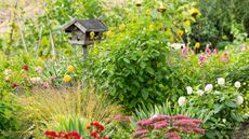 wooden bird table surrounded by flowers