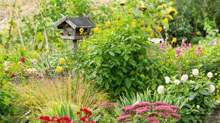 wooden bird table surrounded by flowers