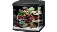 Best tropical fish tank Coralife LED BioCube Aquarium Kit