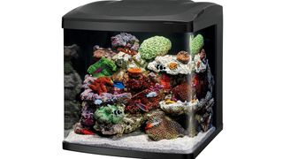 Coralife LED BioCube Aquarium Kit tropical fish tank