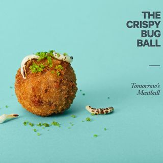 crispy bug meatball