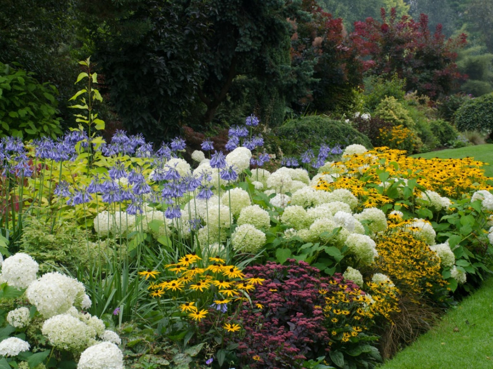 How to Build a Raised Bed—Even If You Have No Idea Where to Start