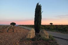 Rh&ocirc;ne 2017 Ch&acirc;teauneuf-du-Pape