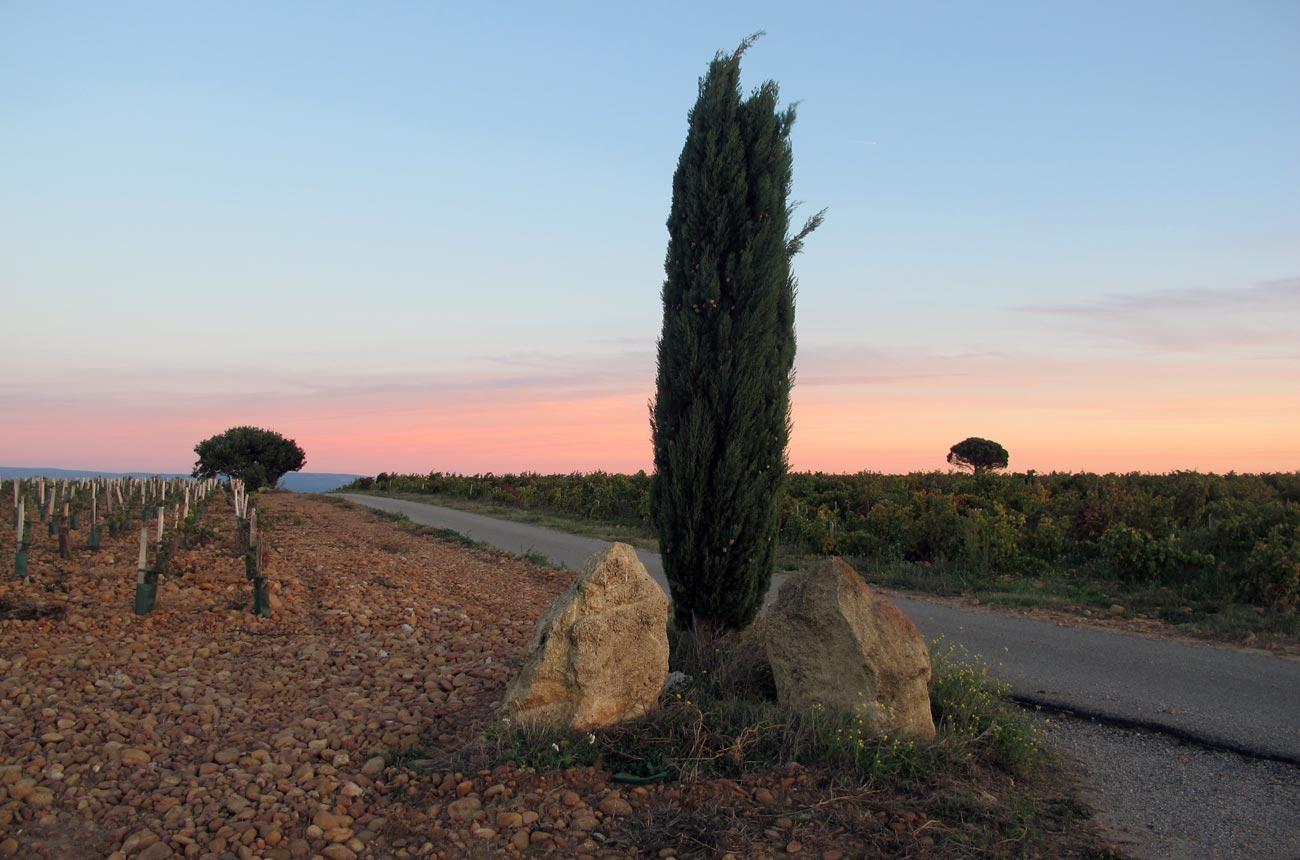 Rh&ocirc;ne 2017 Ch&acirc;teauneuf-du-Pape