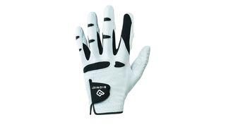 Bionic StableGrip Golf Glove on white background
