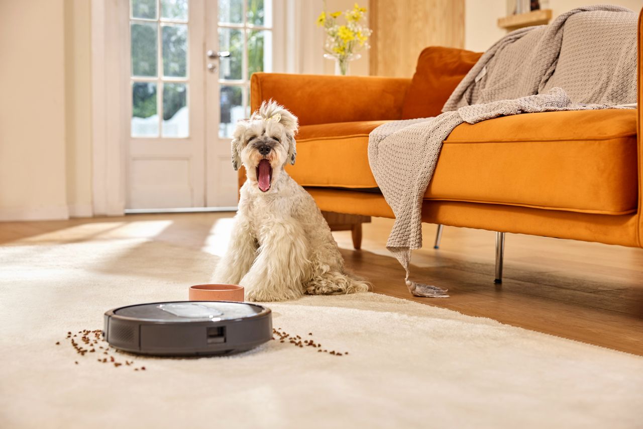 The Vactidy Nimble T6 vacuums mess off a cream carpet beside a cute dog and a stylish sofa